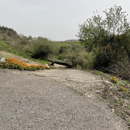 Apartamentos Rurales Casa Pajulon Tineo Dış mekan fotoğraf