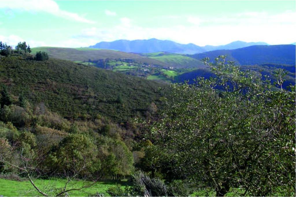 Apartamentos Rurales Casa Pajulon Tineo Dış mekan fotoğraf